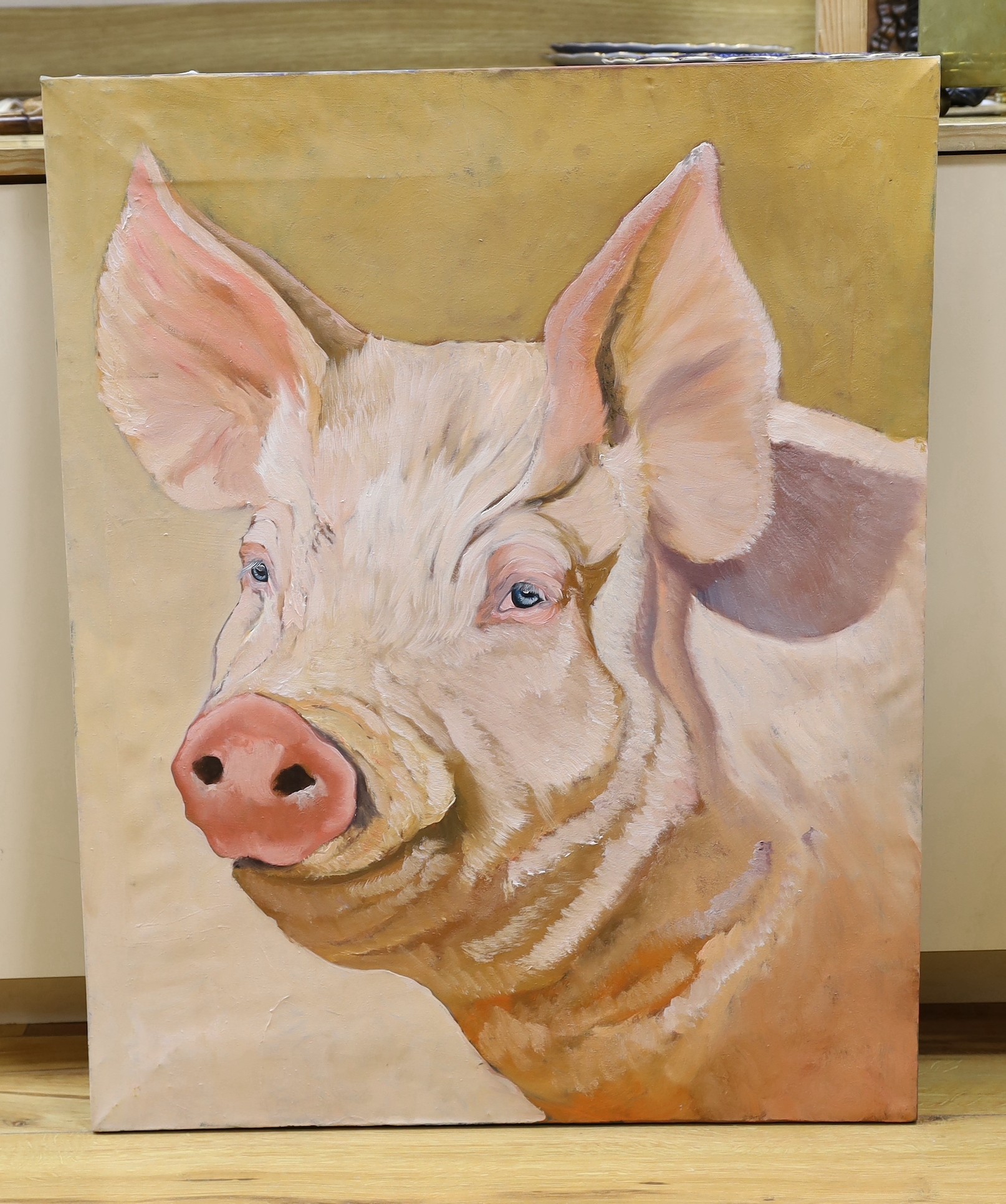 Modern British, oil on canvas, Head study of a pig, 82 x 66cm, unframed